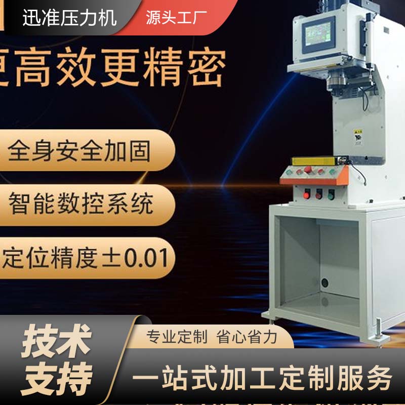 簡易C型伺服壓力機設備 迅準伺服壓裝系統 標準伺服壓機廠家